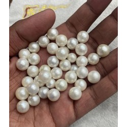 South Sea Moti White