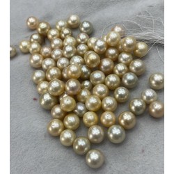 South Sea Moti Golden p2